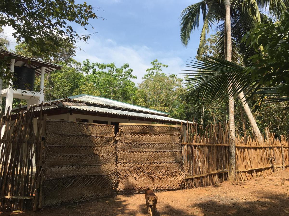 Cashew Villa Hiriketiya Dikwella Exterior foto