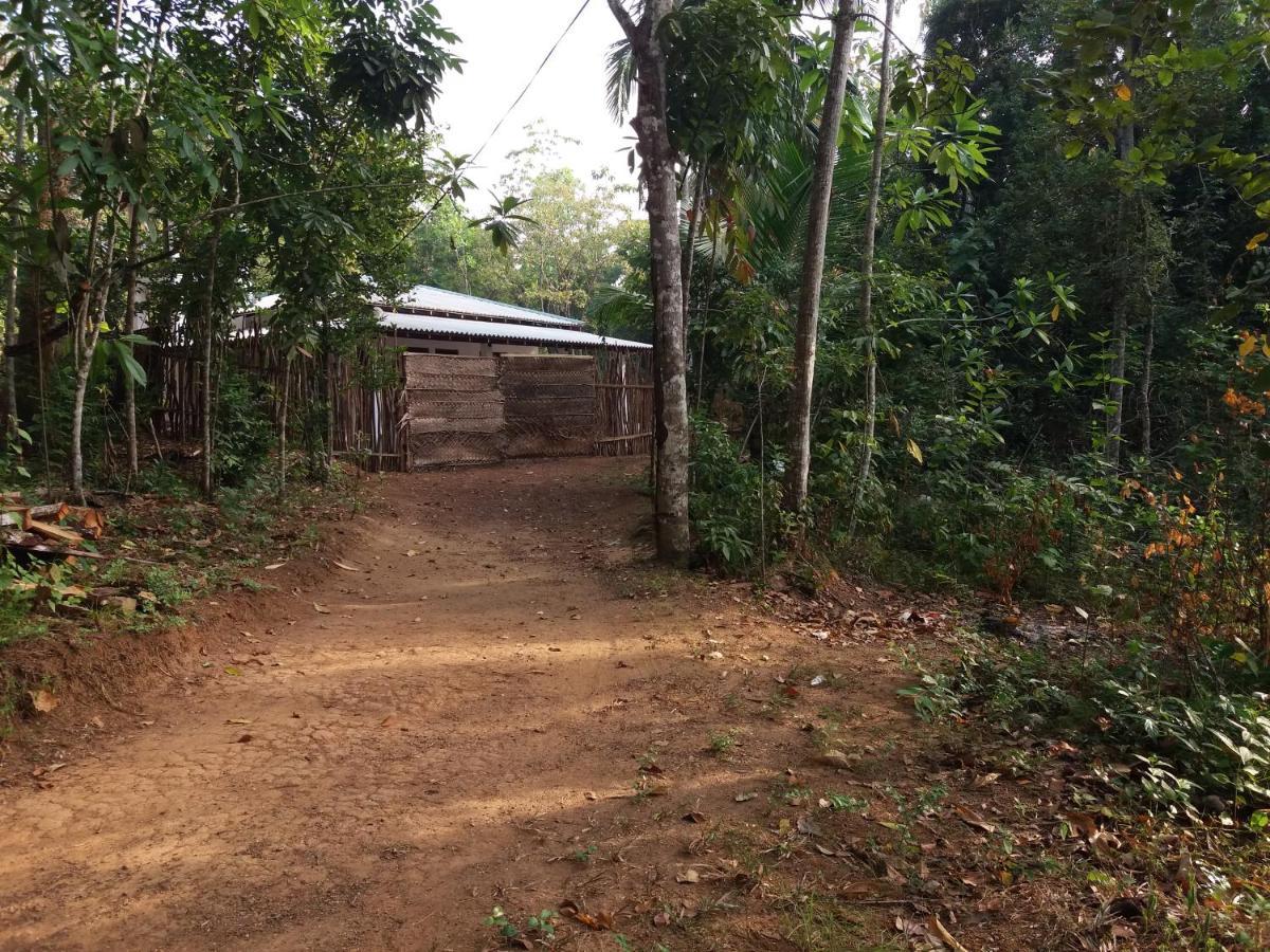 Cashew Villa Hiriketiya Dikwella Exterior foto