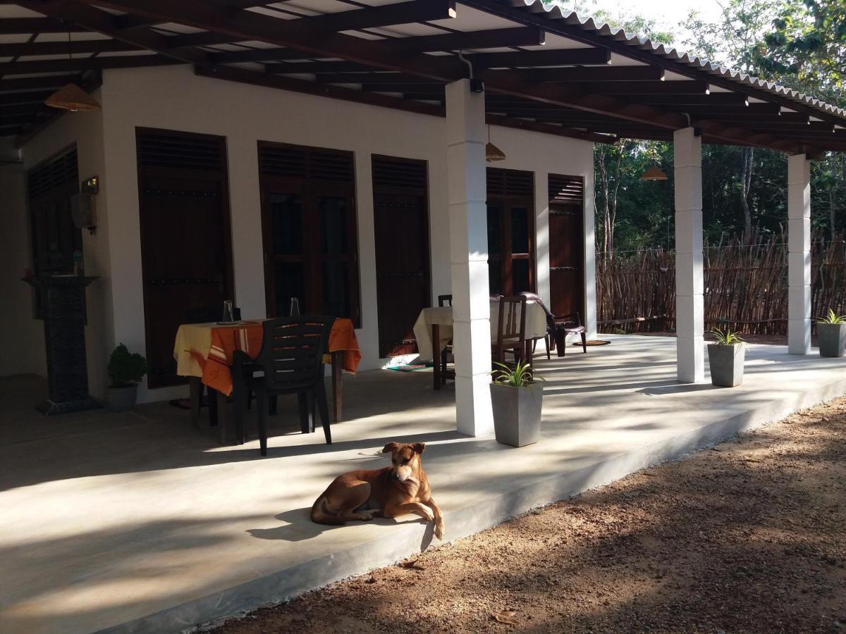 Cashew Villa Hiriketiya Dikwella Exterior foto