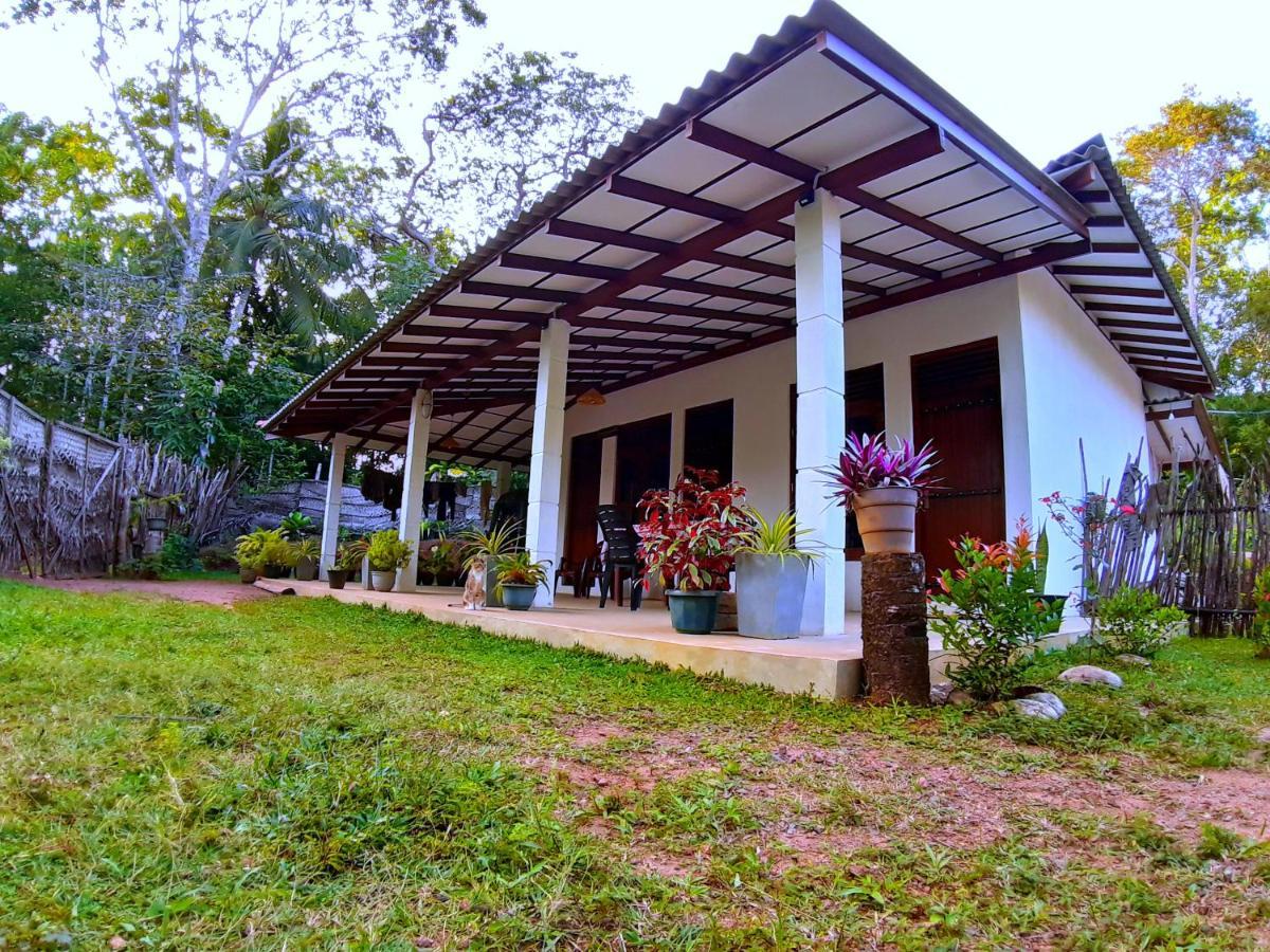 Cashew Villa Hiriketiya Dikwella Exterior foto