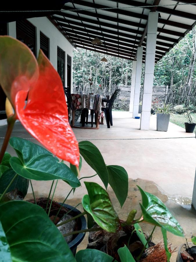 Cashew Villa Hiriketiya Dikwella Exterior foto