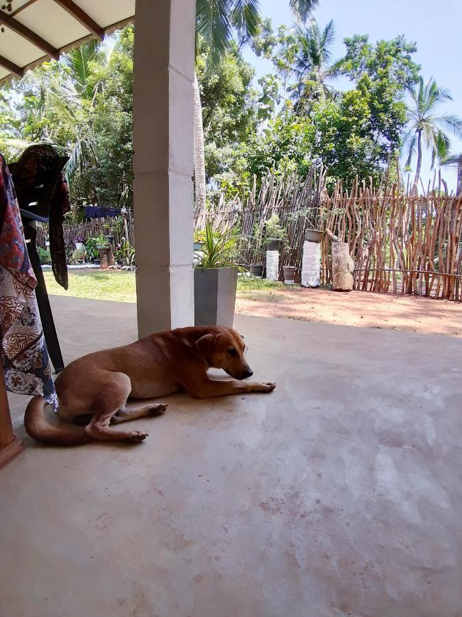 Cashew Villa Hiriketiya Dikwella Exterior foto