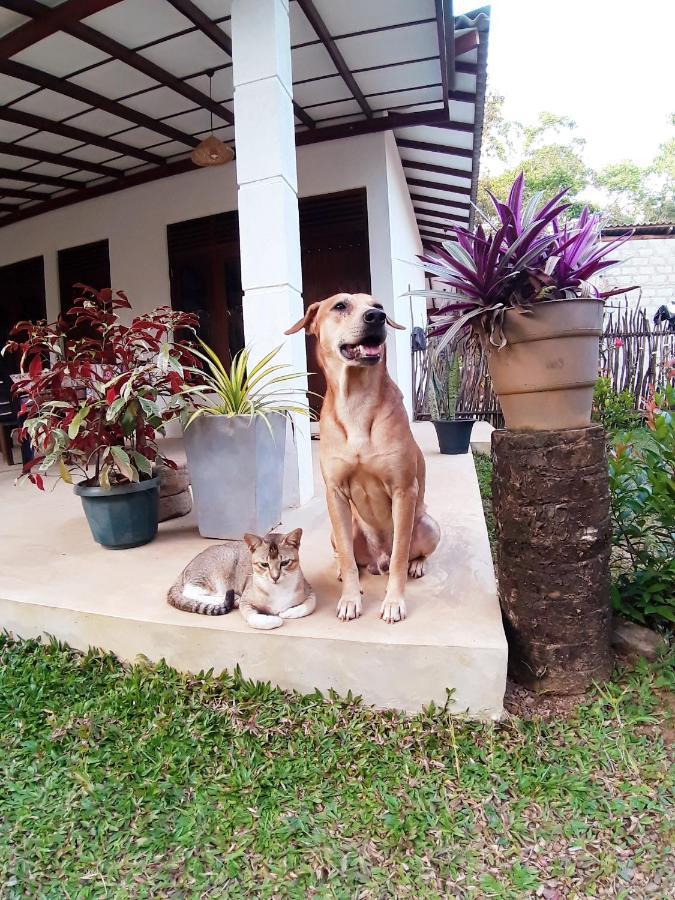 Cashew Villa Hiriketiya Dikwella Exterior foto